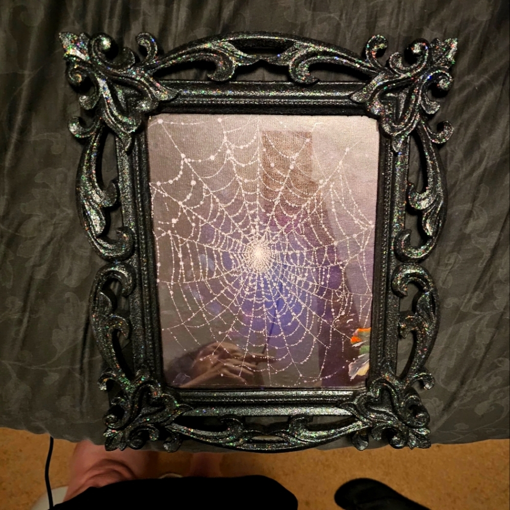 Black Ornate Frame with Spider Web Art
